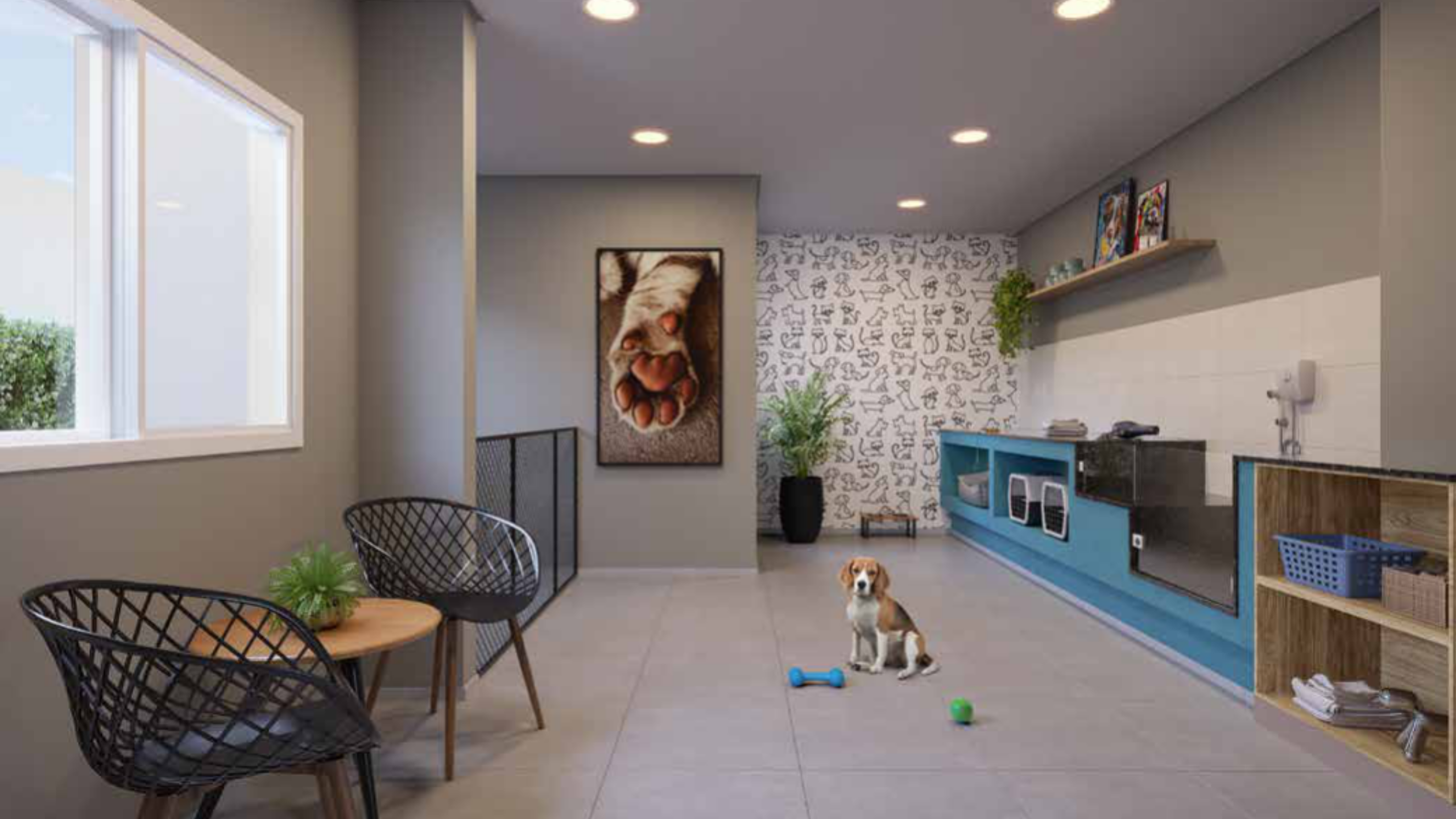 PET CARE