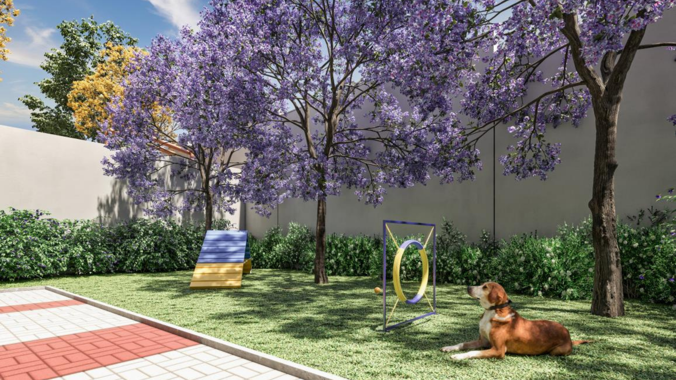 PET PLACE