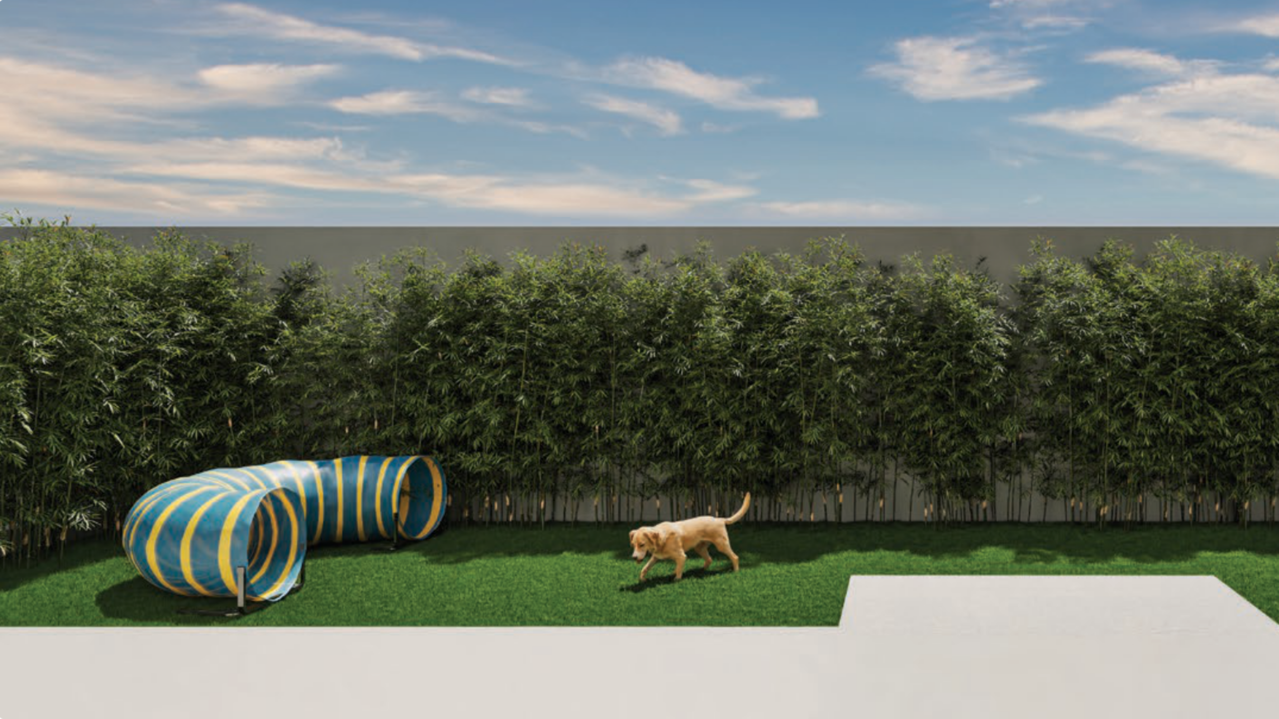 PET PLACE