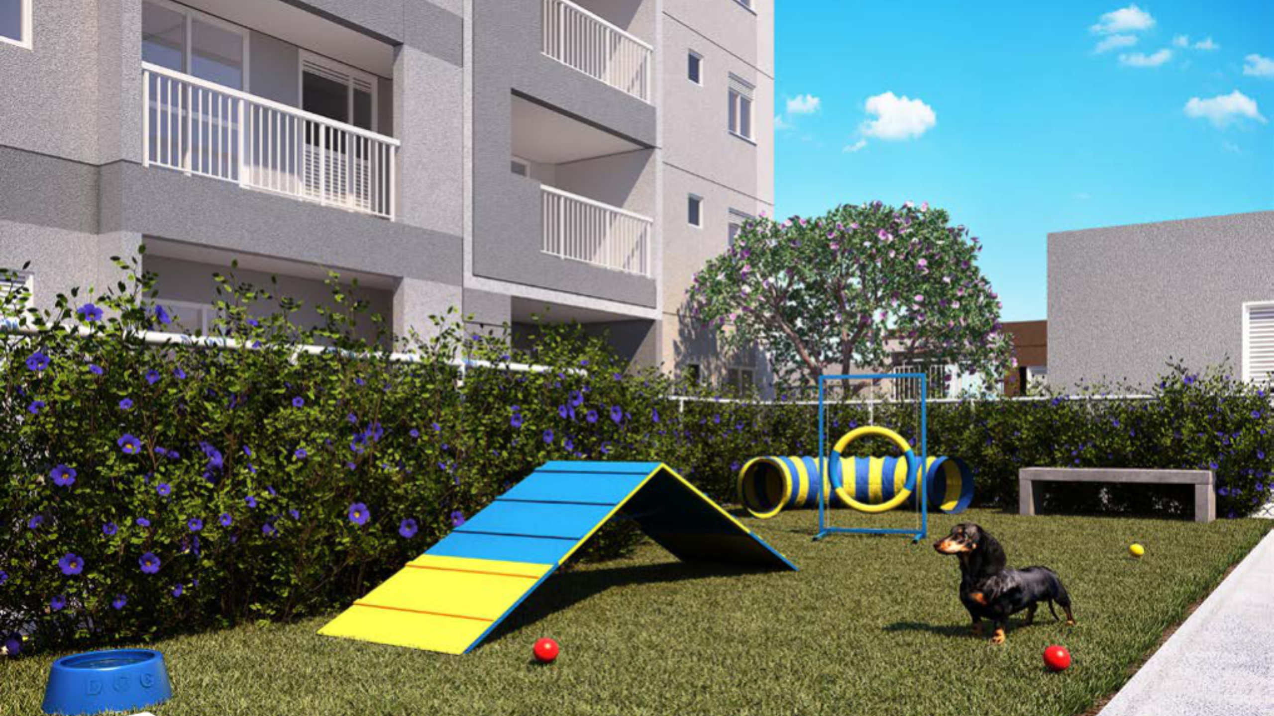 PETPLACE