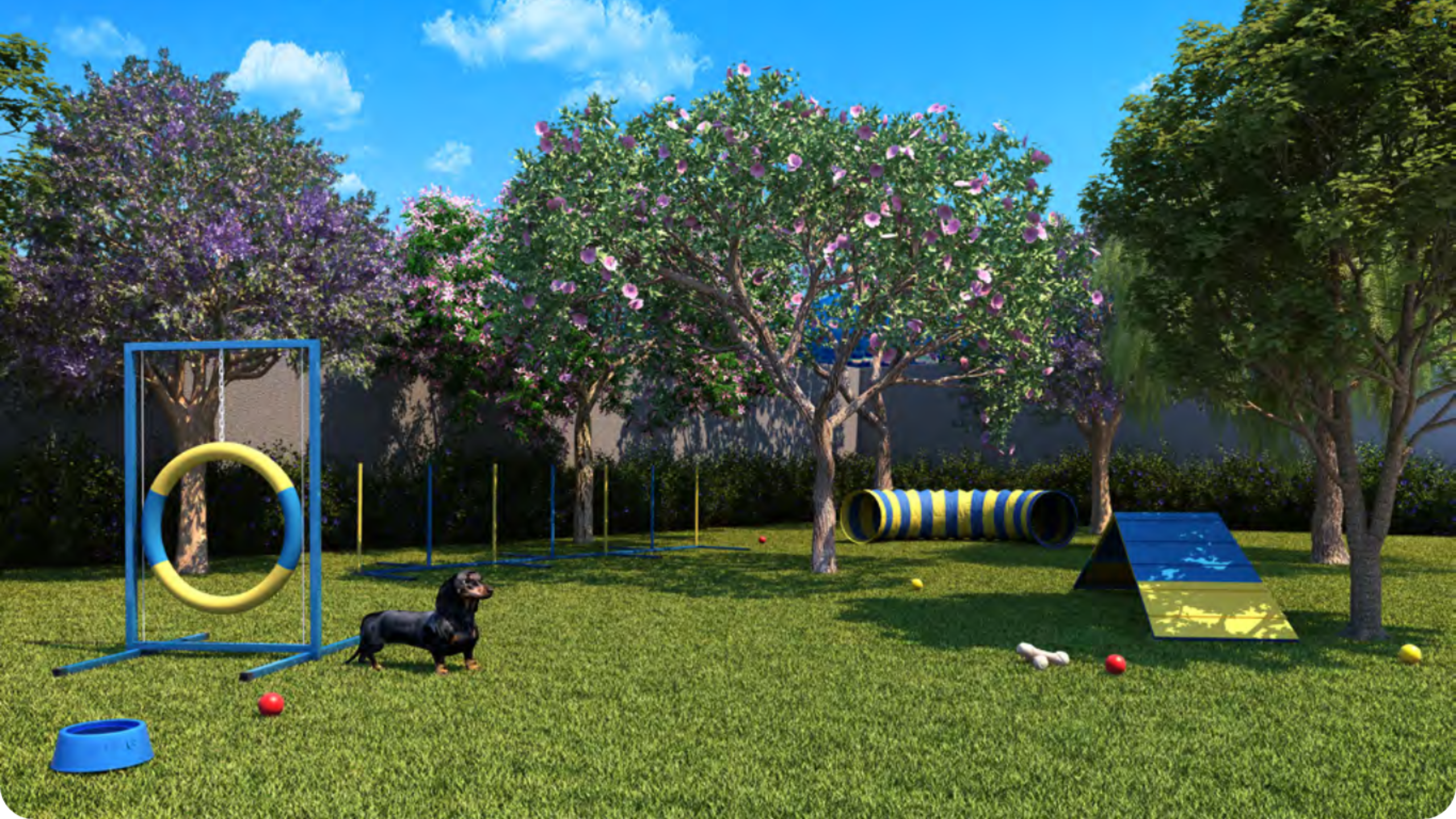 PET PLACE