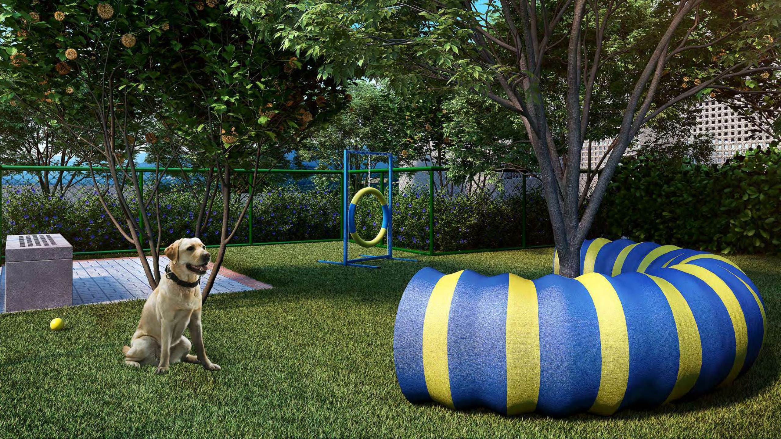 PET PLACE